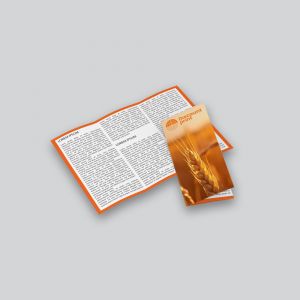 Folder med rullefals og skarp farvetryk – smart valg til markedsføring og kundekommunikation